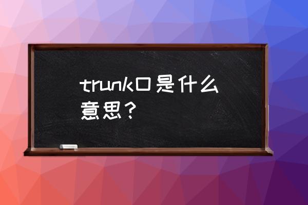 trunk中文 trunk口是什么意思？