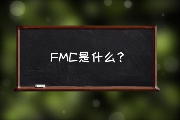 广州fmc FMC是什么？