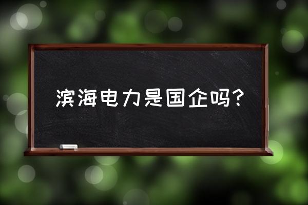 天津滨海新区电力 滨海电力是国企吗？