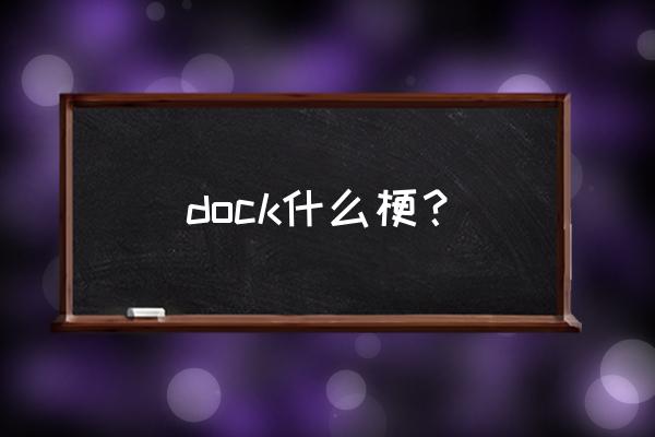 dock什么意思啊 dock什么梗？