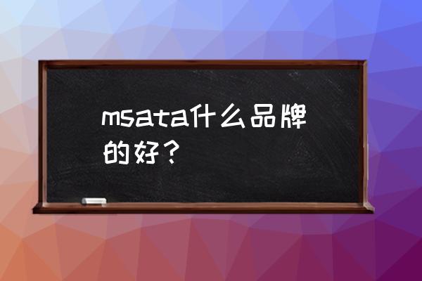 最好的msata msata什么品牌的好？
