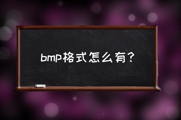 bmp格式怎么弄 bmp格式怎么有？
