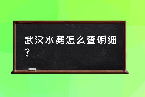 武汉市社保查询个人账户官网 武汉水费怎么查明细？